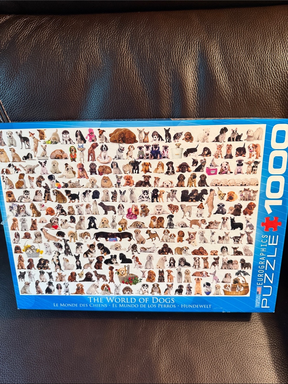 Eurographics "The World of Dogs" 1000-Piece Puzzle - Blue